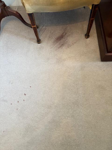Carpet stain removal before and after