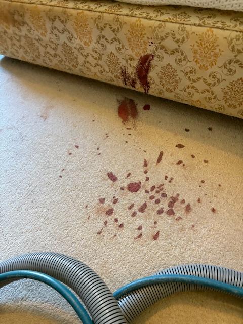 Carpet cleaning result under furniture