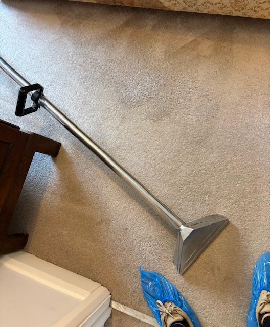 Oven cleaning after - sparkling clean