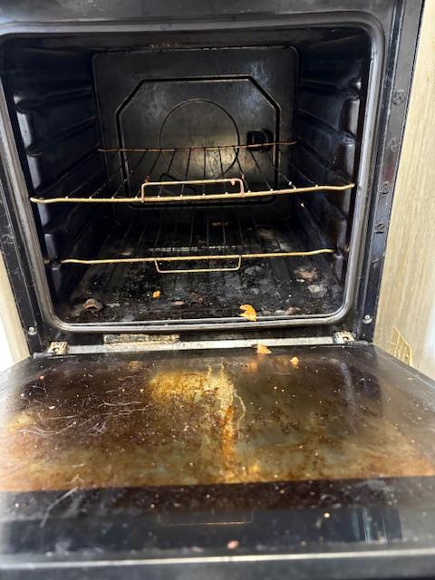 Carpet stain removal in progress